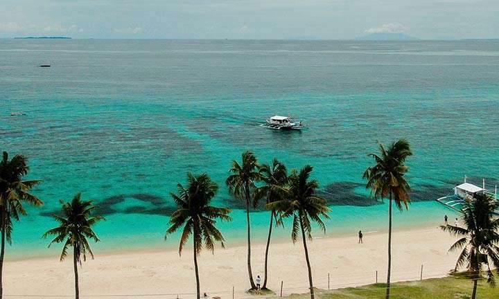 Los 7 mejores sitios para nadar y bucear con tiburones 3 Isla Malapascua