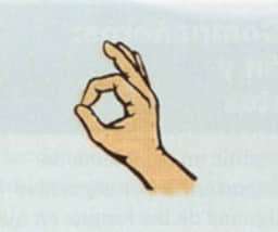 ¡Domina las señales manuales para el buceo! 1 ok 1 - ¡Domina las señales manuales para el buceo!