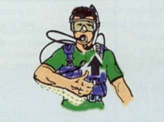 ¡Domina las señales manuales para el buceo! 3 subimos 1 - ¡Domina las señales manuales para el buceo!