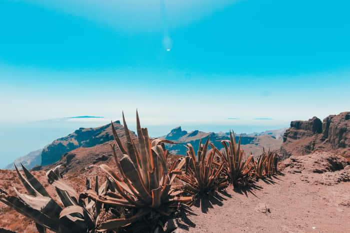 ¡Explora la isla! Guía única de actividades en Tenerife 5 Paisajes de Tenerife