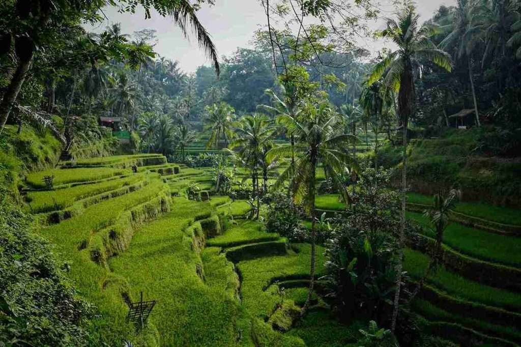 Complete Guide to the Best Islands of Indonesia 1 The 10 Most Popular Islands in Indonesia: Bali