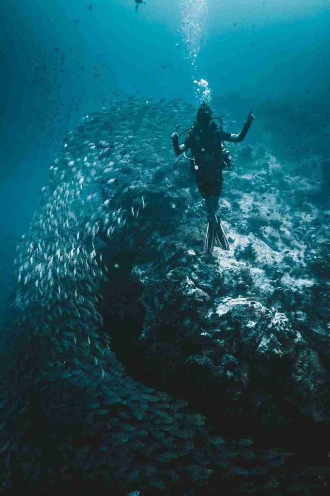 The Best Dive Sites in Koh Tao: A Complete Guide 2 8 Dive Sites in Koh Tao - Southwest Pinnacle