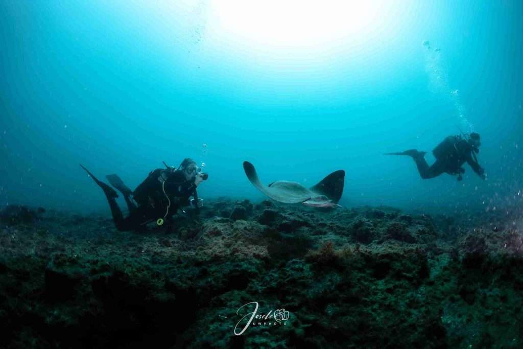 Dive Sites in Tenerife with Map! 3 7 Unique Dive Sites in Tenerife - Puertito de Armeñime
