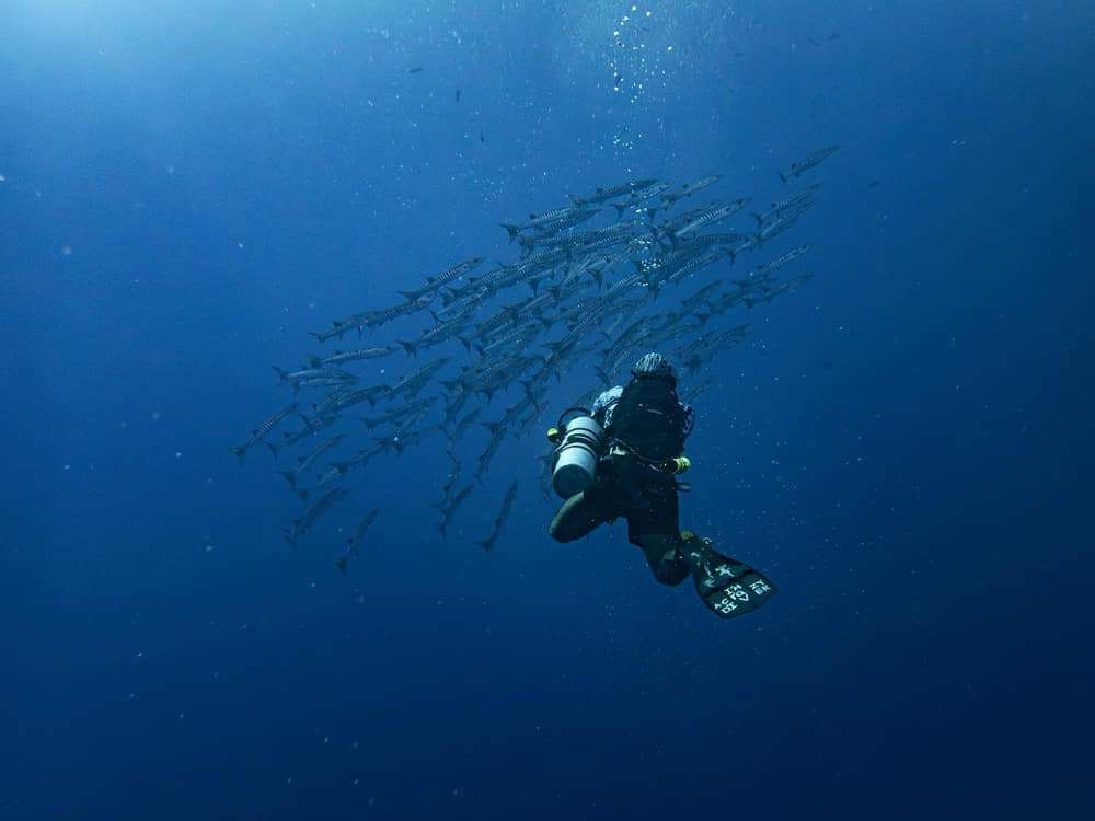 Is diving good for your health? 1 Health benefits of diving