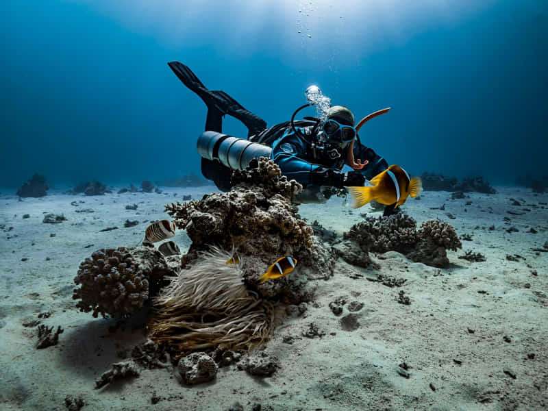 ¿Cómo ser instructor de buceo? ¿Qué requisitos hay? 2 ¿Cuánto gana un instructor de buceo?