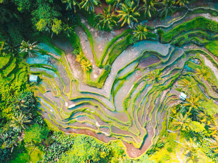 Traveling to Indonesia: essential guide to make the most of your adventure 1 Why travel to Indonesia?