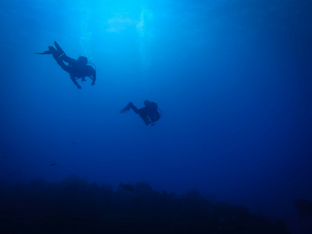 Drift Diving: How to enjoy it safely 1 Types of currents you might encounter