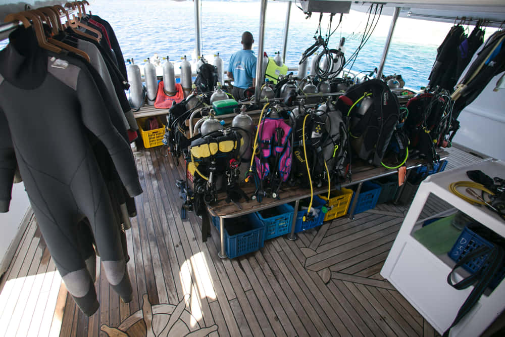¿Cómo elegir el equipo de buceo?