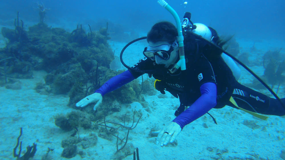 What is adaptive diving and how does it work? 1 What is adaptive diving