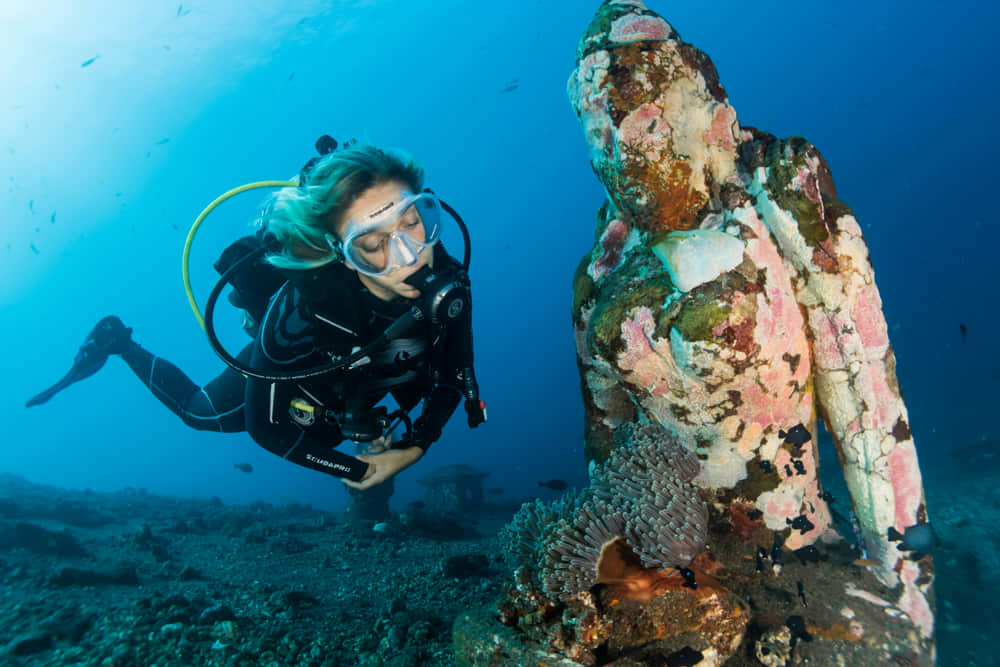 Where to dive in indonesia