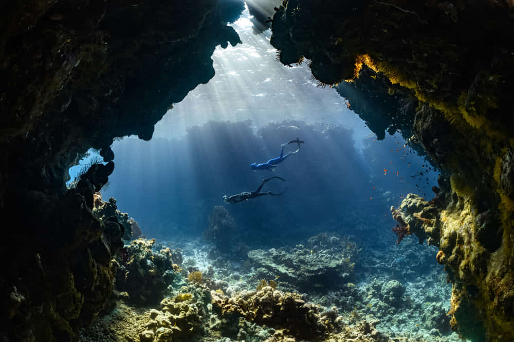 Recreational diving