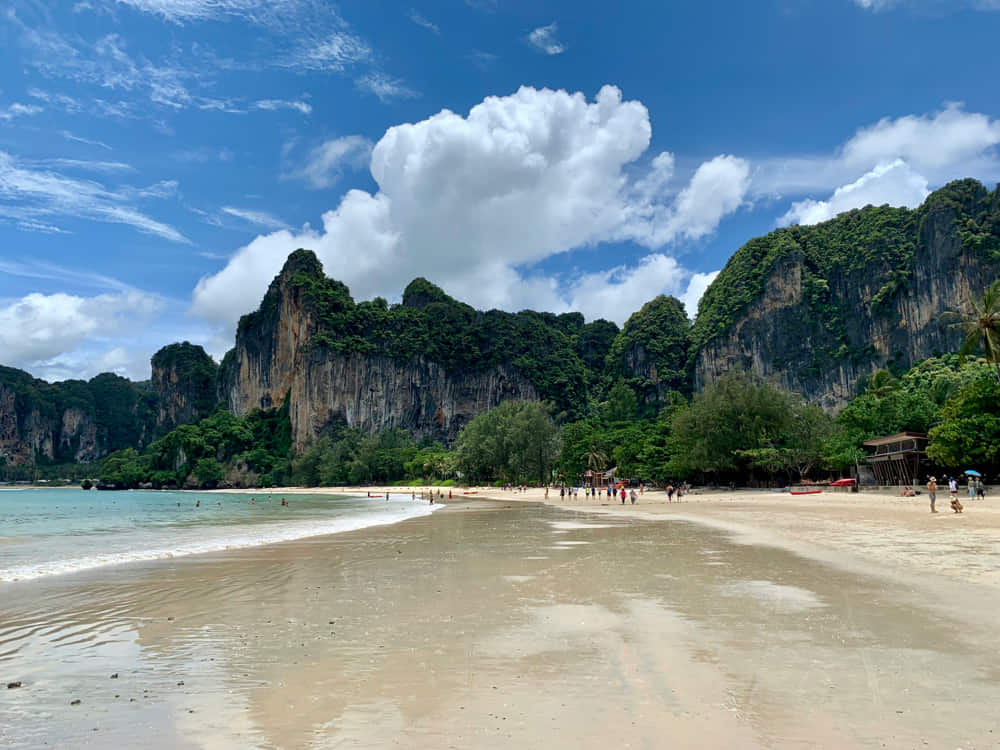 Bucear en Tailandia: por qué es uno de los destinos top del mundo 4 ¿Dónde Bucear en Tailandia?