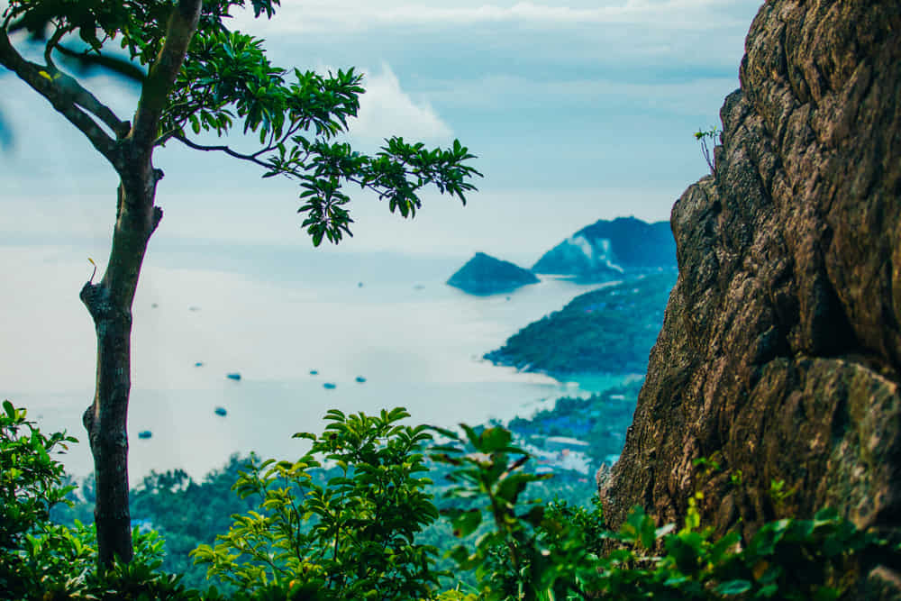 Bucear en Tailandia: por qué es uno de los destinos top del mundo 1 ¿Dónde Bucear en Tailandia?