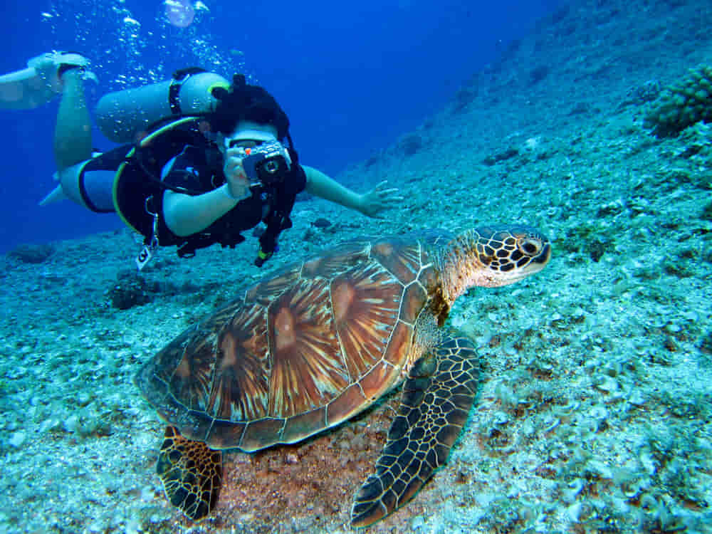 ¿Cómo elegir el curso de buceo ideal según tu nivel y experiencia? 1 Elegir curso de buceo