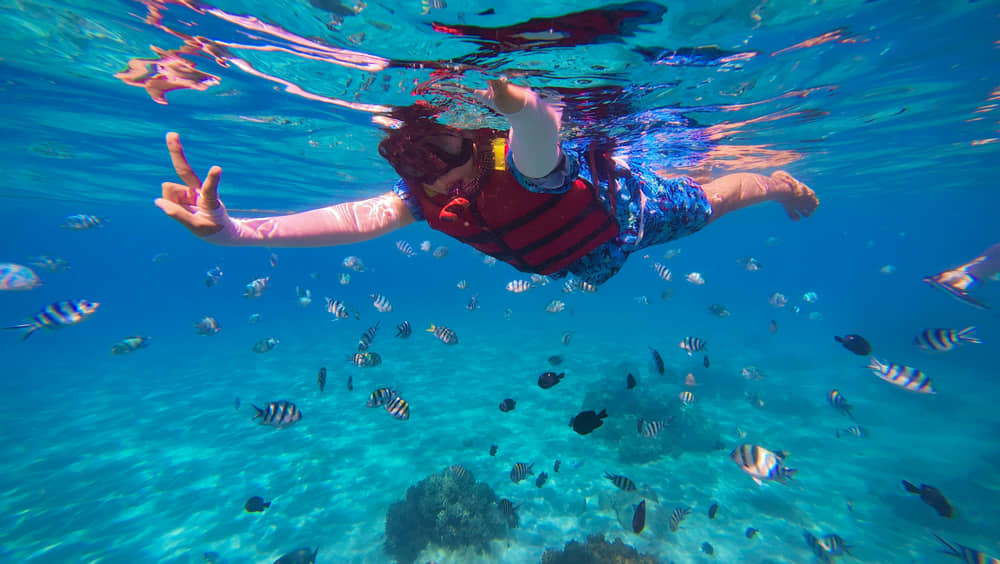 What is the difference between snorkeling and diving? pros, cons and tips 1 Snorkeling vs Diving